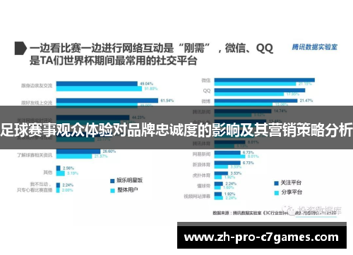 足球赛事观众体验对品牌忠诚度的影响及其营销策略分析