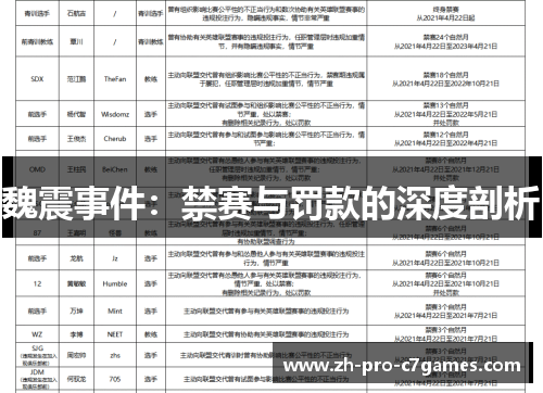 魏震事件：禁赛与罚款的深度剖析