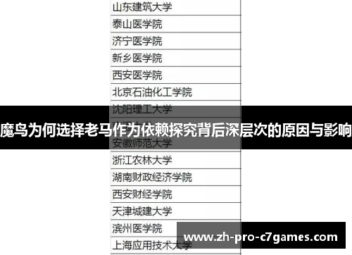 魔鸟为何选择老马作为依赖探究背后深层次的原因与影响