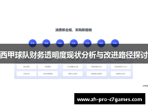 西甲球队财务透明度现状分析与改进路径探讨 西甲球队财务透明度现状分析与改进路径探讨